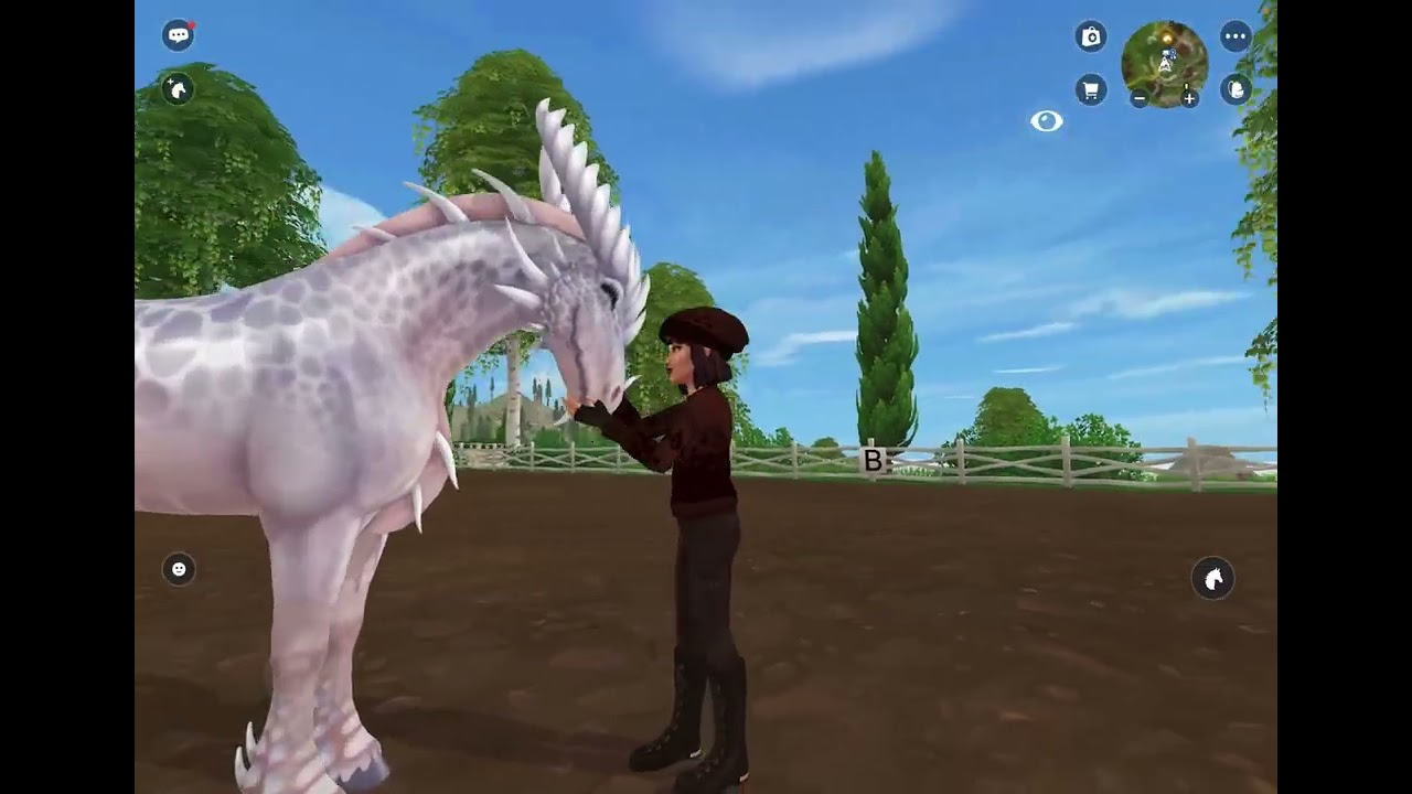 Wir kaufen ein Pferd auf dem Basar