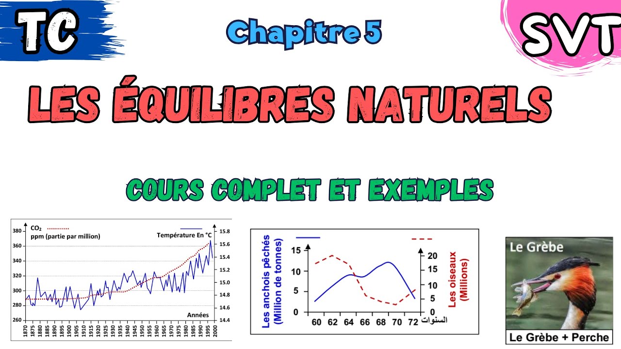 TC SVT | Chapitre 5: les &eacute;quilibres Naturels dans l'&eacute;cosyst&egrave;me | cours complet et exemples
