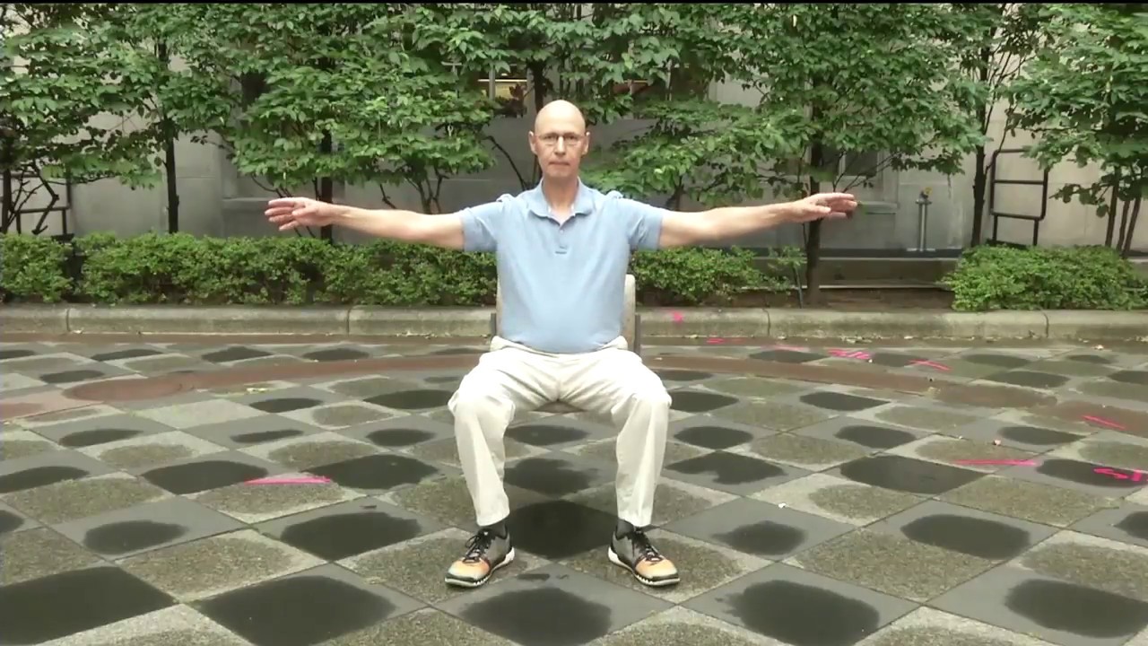 Sitting Tai Chi and Qigong Wellness Exercises