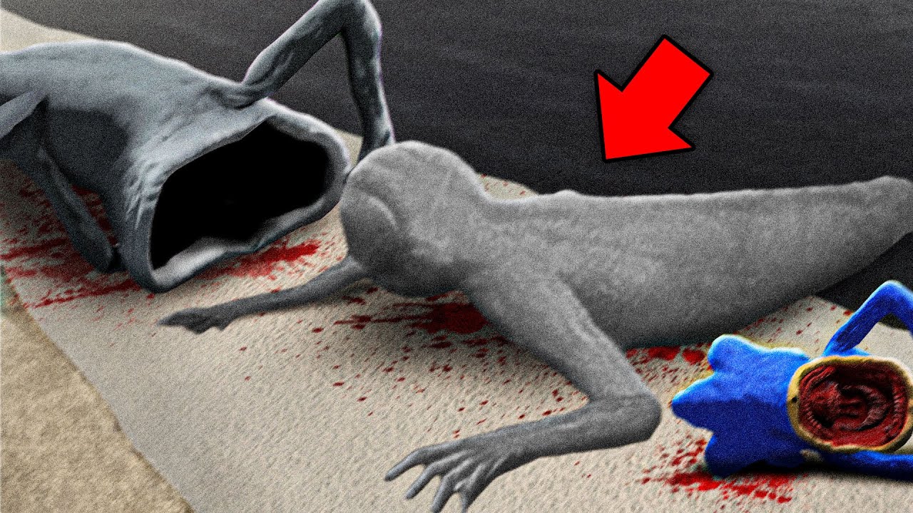 We Caught Every SEA MONSTER... (Full Movie)