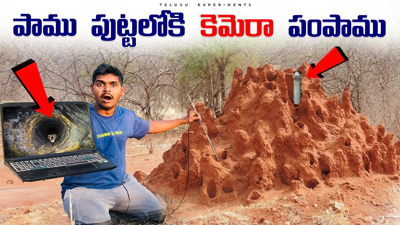 Entering Endoscopic📷Camera Into Snake🐍House🤯 పాము పుట్టలోకి కెమెరా కి పంపాము...😲😲 Telugu Experiments