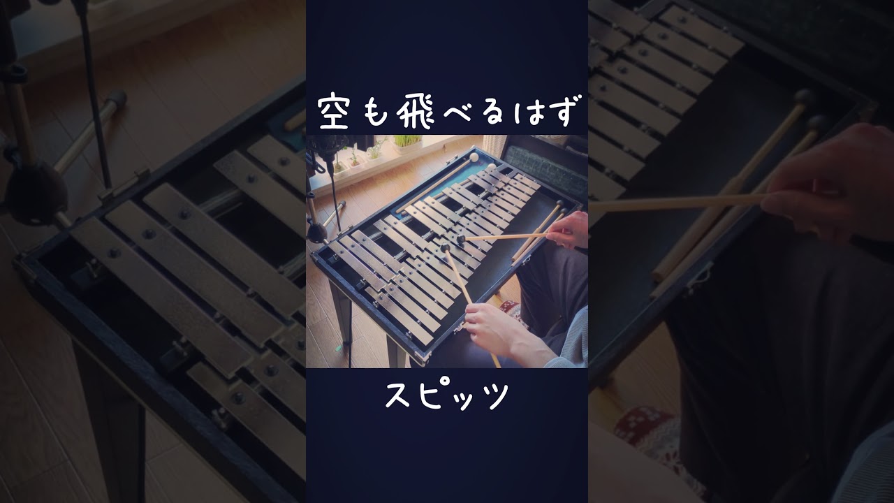 スピッツ / 空も飛べるはず 鉄琴 Spitz #shorts #スピッツ   #弾いてみた
