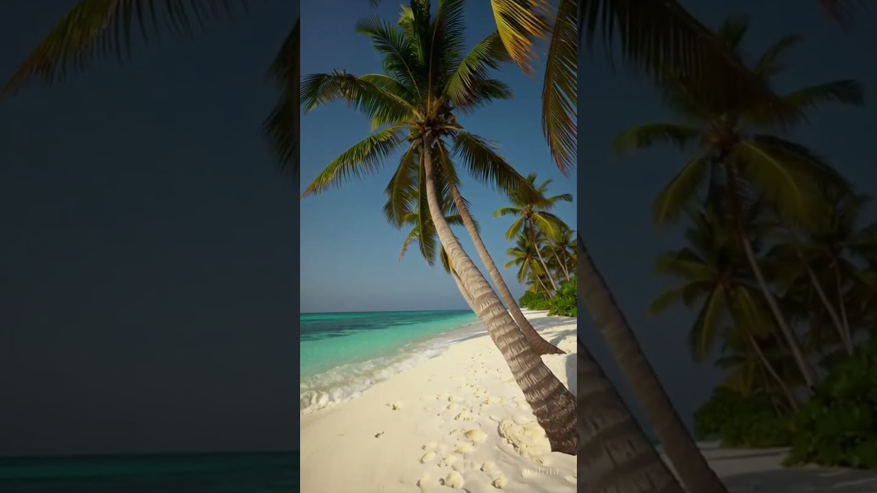 Malediven-Vibes 🌴✨ Sanfte Wellen & Palmen im Wind | Pure Entspannung