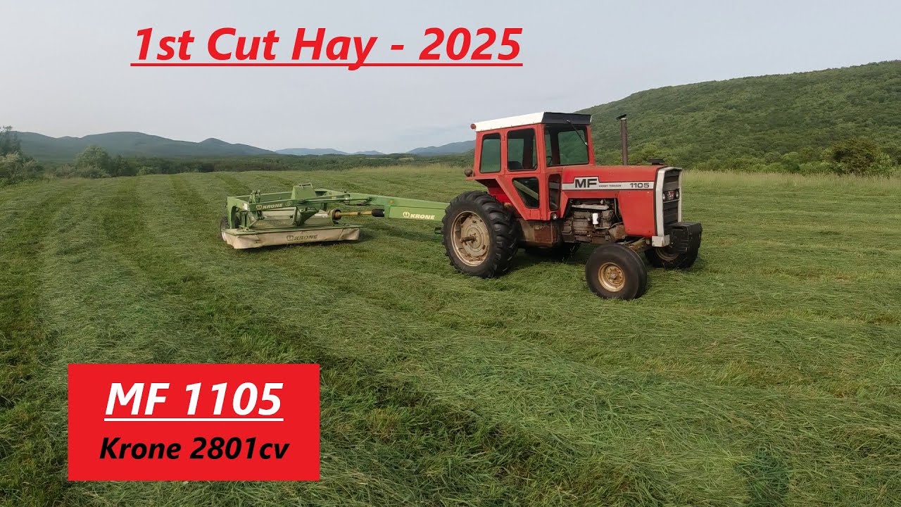 1977 Massey Ferguson 1105 - 1st Cutting Hay 2025 w- Krone 2801cv Impeller Tine Mower Conditioner