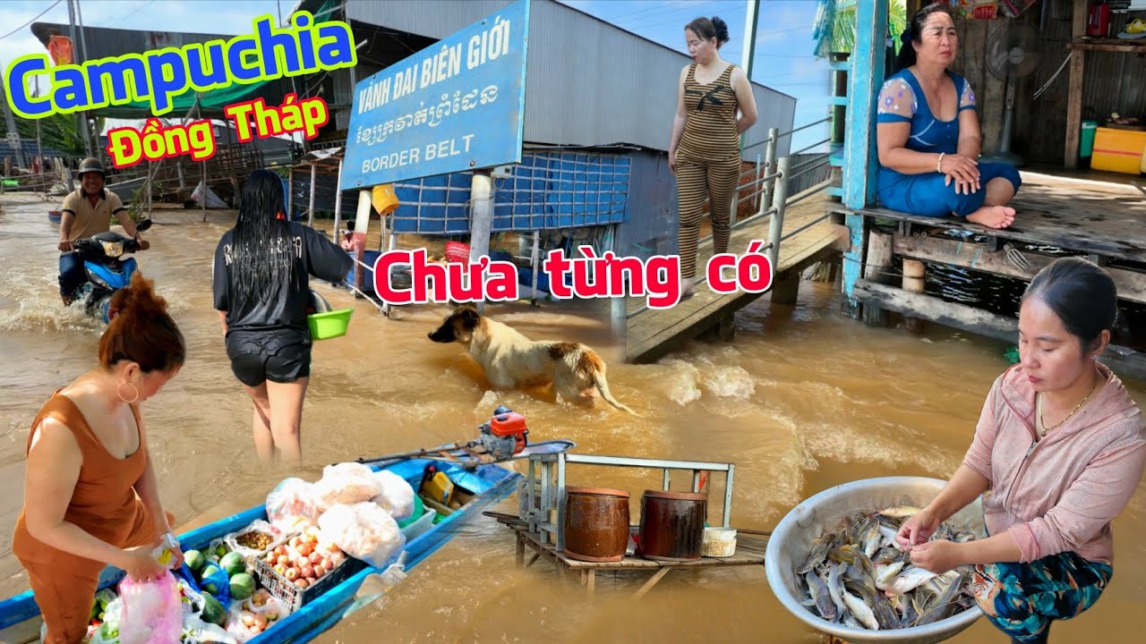 Căng quá lũ tràn về biên giới Campuchia chưa từng có sợ quá - Chợ Cả Sách cá tôm khủng