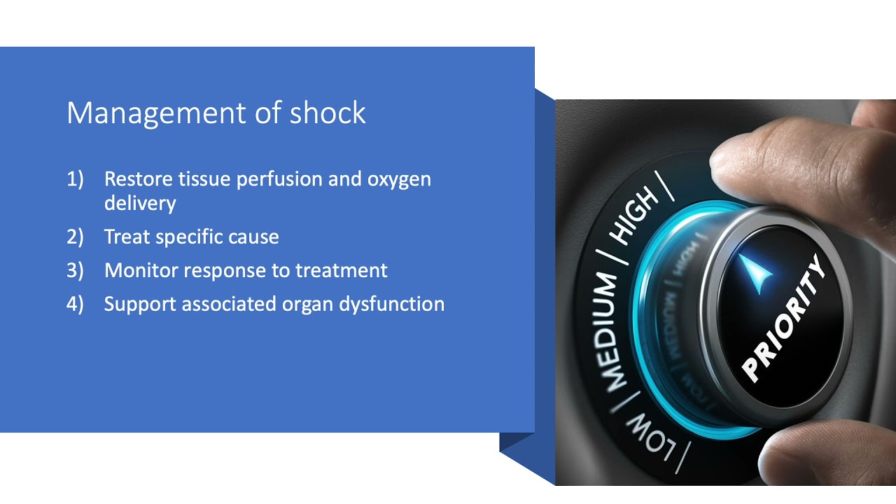 Shock and Vasopressors