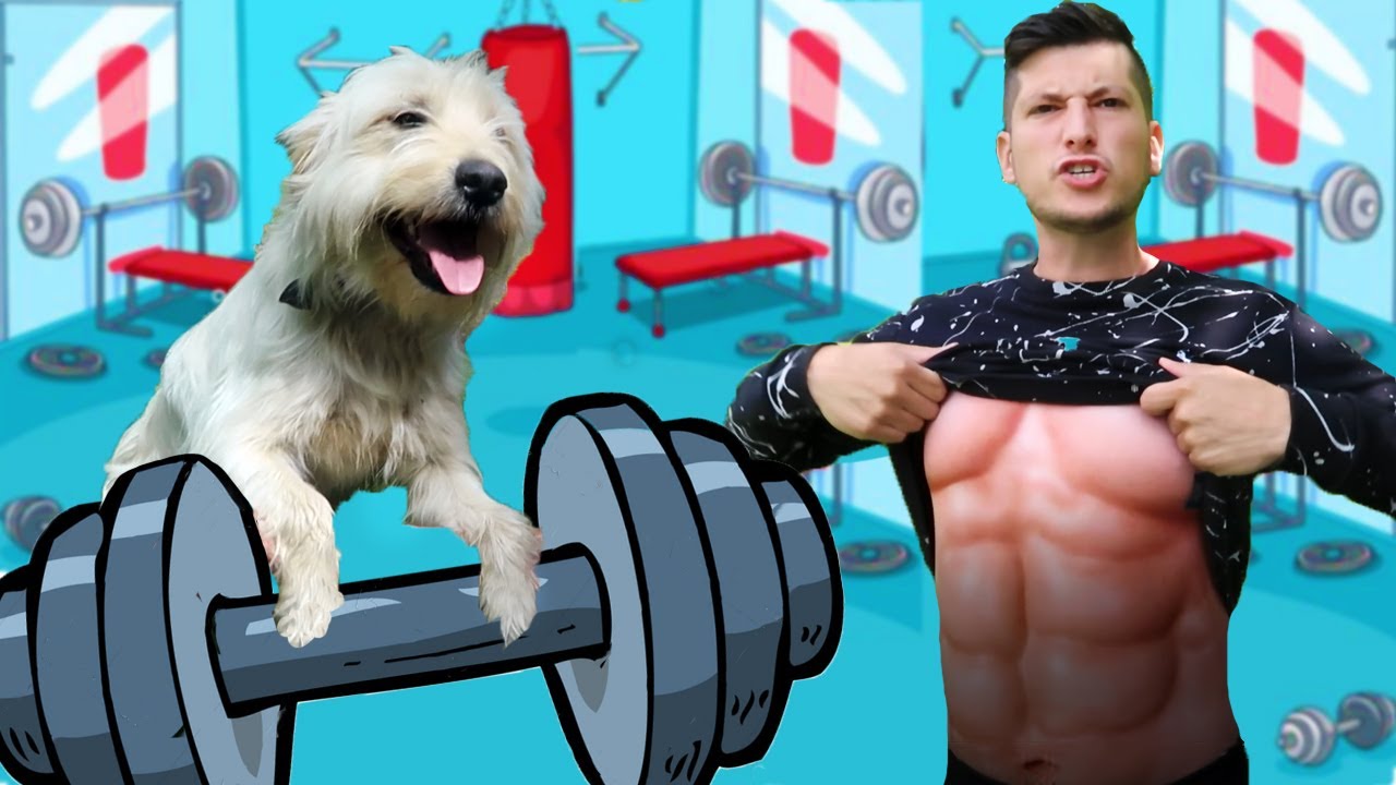 TRENIRAM SA SVOJIM FITNES TRENEROM