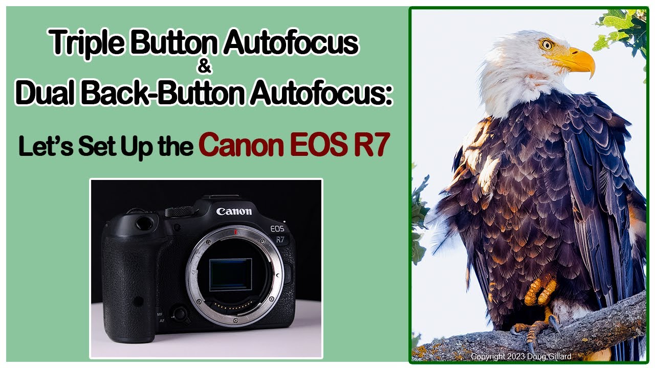 Let's Set Up the Canon EOS R7 for Triple Button Autofocus and Dual Back Button Autofocus