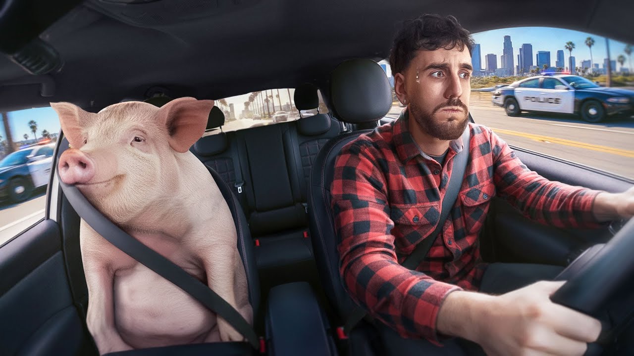 J'ENFREINS les PIRES LOIS des USA (oui c'est un cochon)
