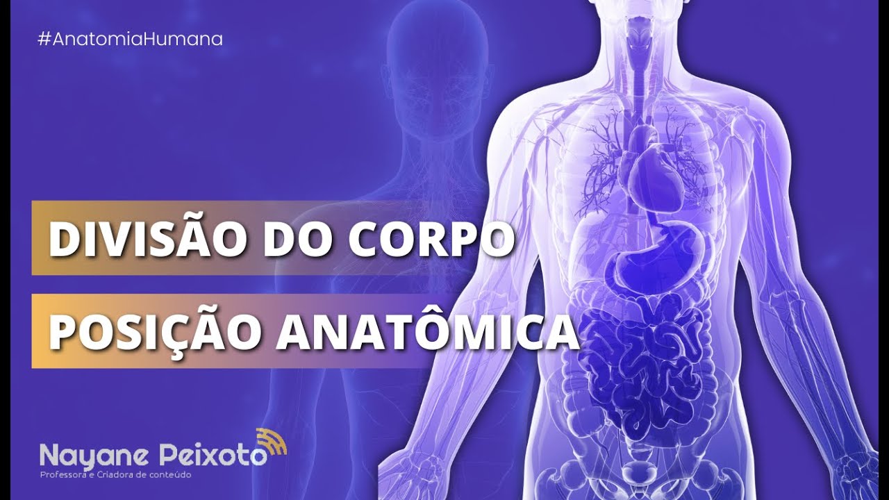 Ponto de Partida na Anatomia: Posição Anatômica e Divisão do Corpo