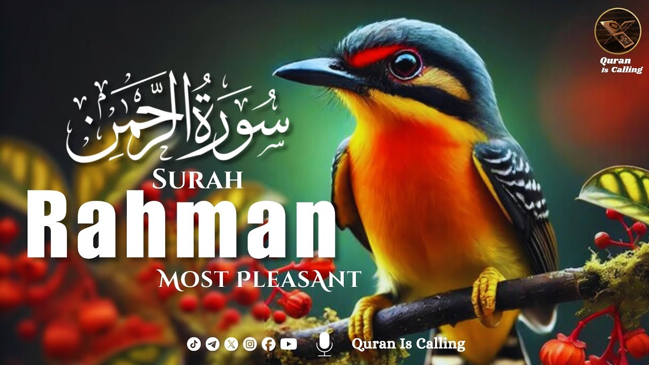 Surah Rahman (Ar-Rahman) سورة الرحمن | Deep Sleep Healing Heart Touching Quran Recitation
