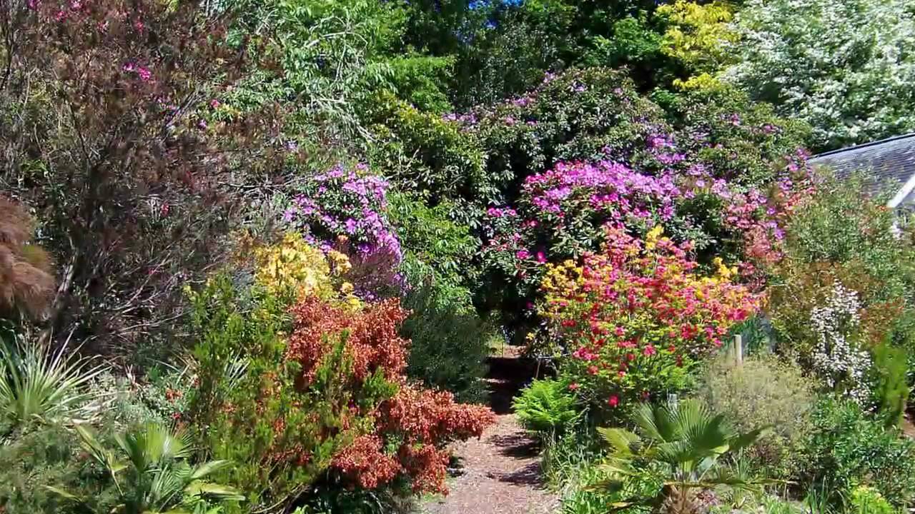 Trevarno Gardens - Cornwall