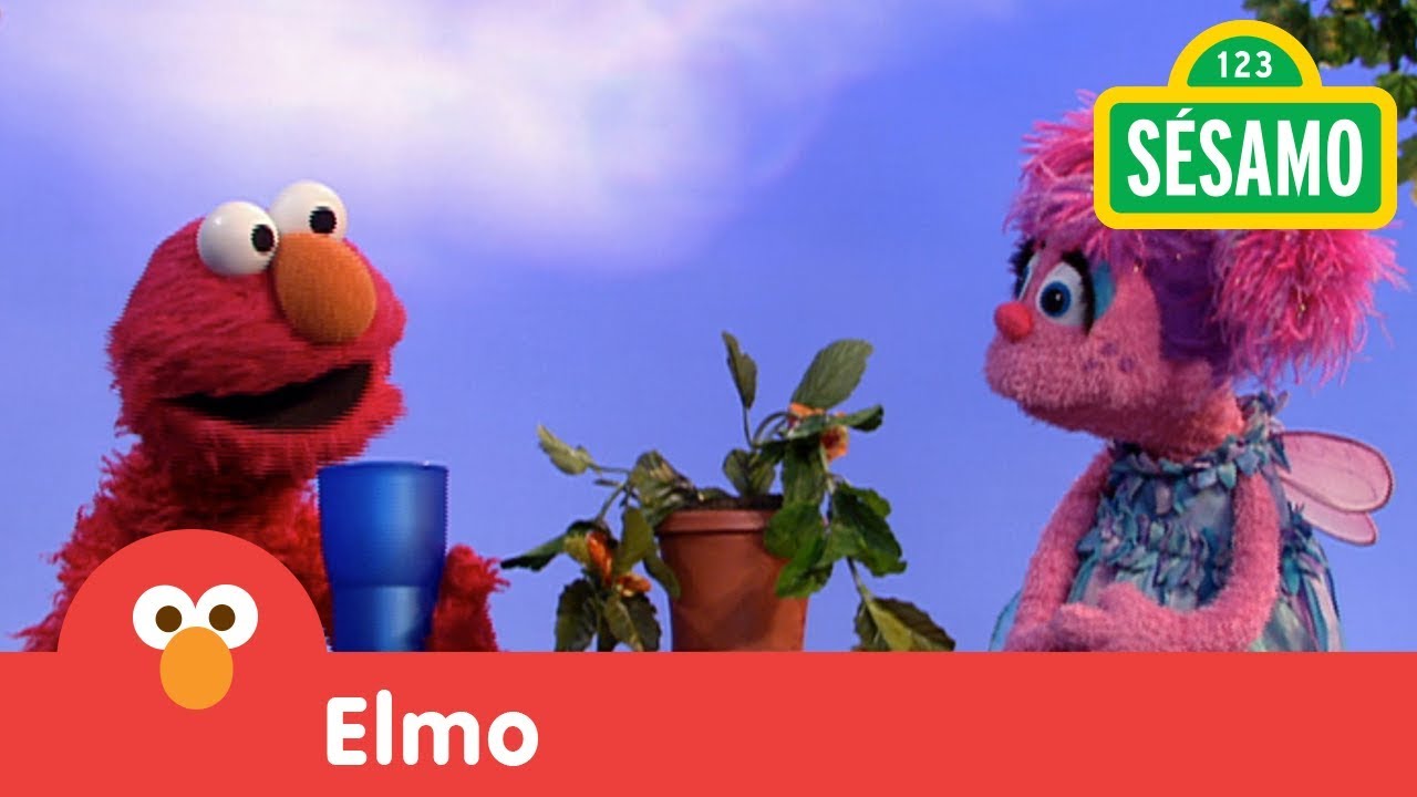 Plaza S&eacute;samo: Elmo y Abby riegan una planta