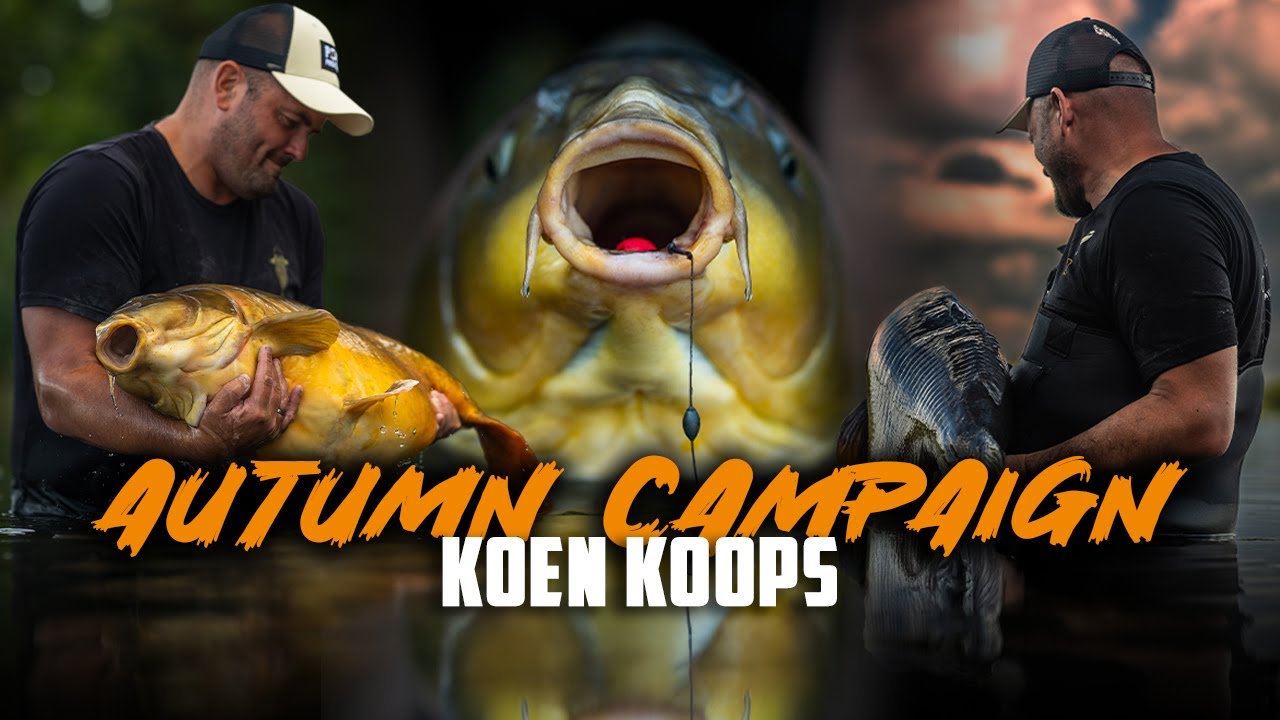 BIG DUTCH CARP | Koen Koops - Autumn Campaign
