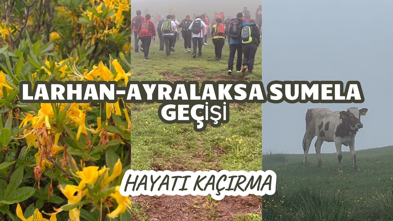 LARHAN-AYRALAKSA YAYLASI. SUMELA GEÇİŞİ.. HAYATI KAÇIRMA...