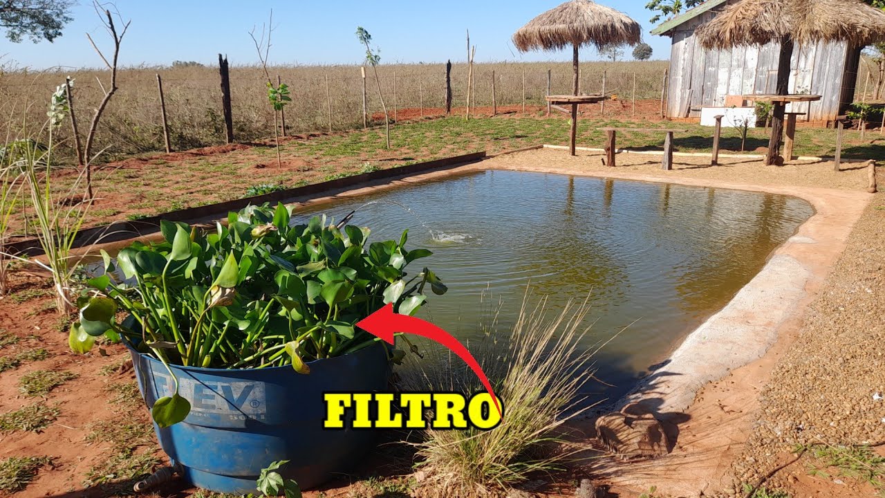 Fiz o FILTRO do LAGO !!!