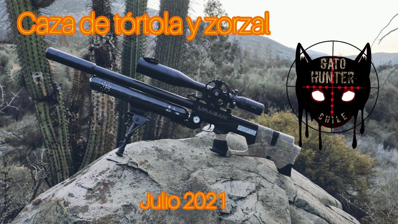 Caza de T&oacute;rtola y Zorzal con Uragan 5,5 en Los Andes / Julio 2021