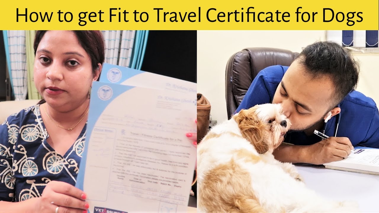 Travelling with dogs in Indian Railways Necessary Steps to follow