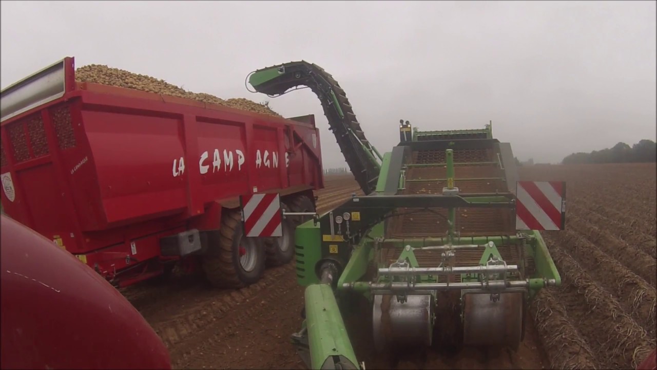 Arrachage de pomme de terre 2018 [GoPro]