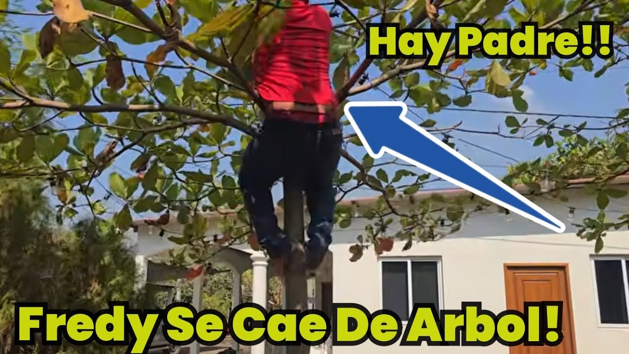 Yaki Le Pide A Fredy Que Limpie Los Raboles de Su Jardín!!