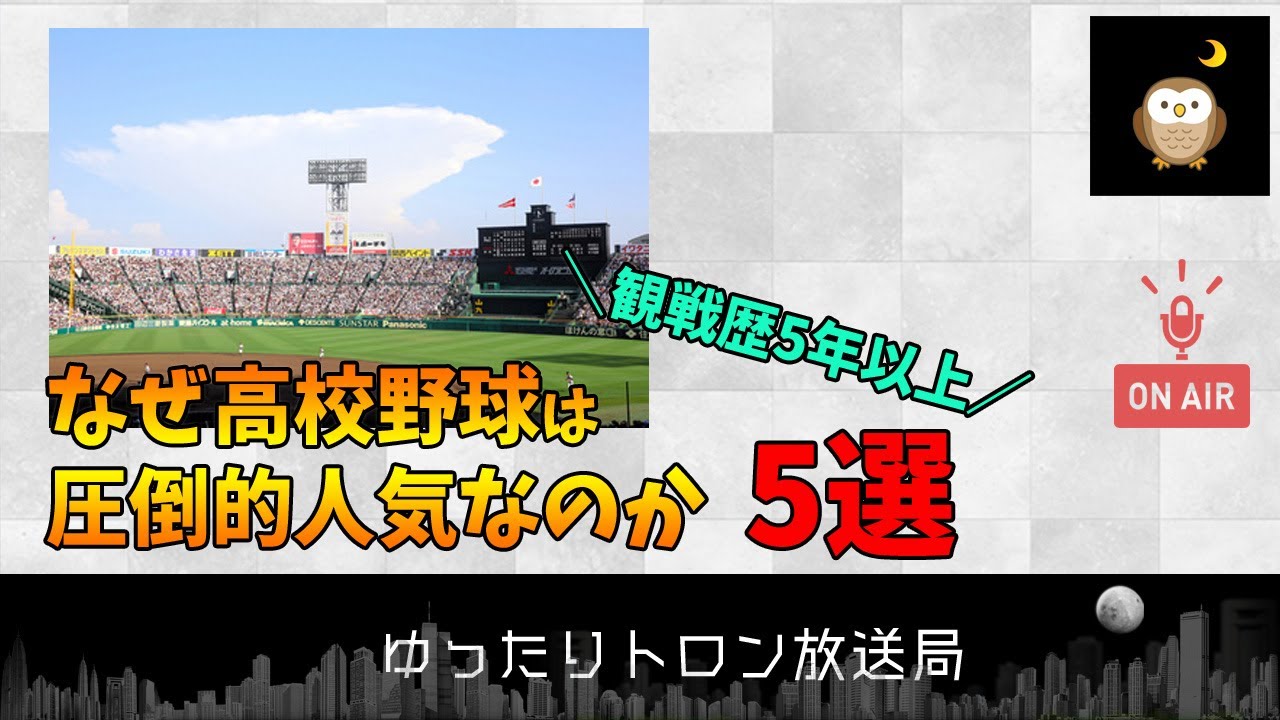 夏の甲子園をかけた高校野球は最高の大会！なぜ国民的人気なのか？高校野球の魅力について【フリートーク＆作業用bgm】