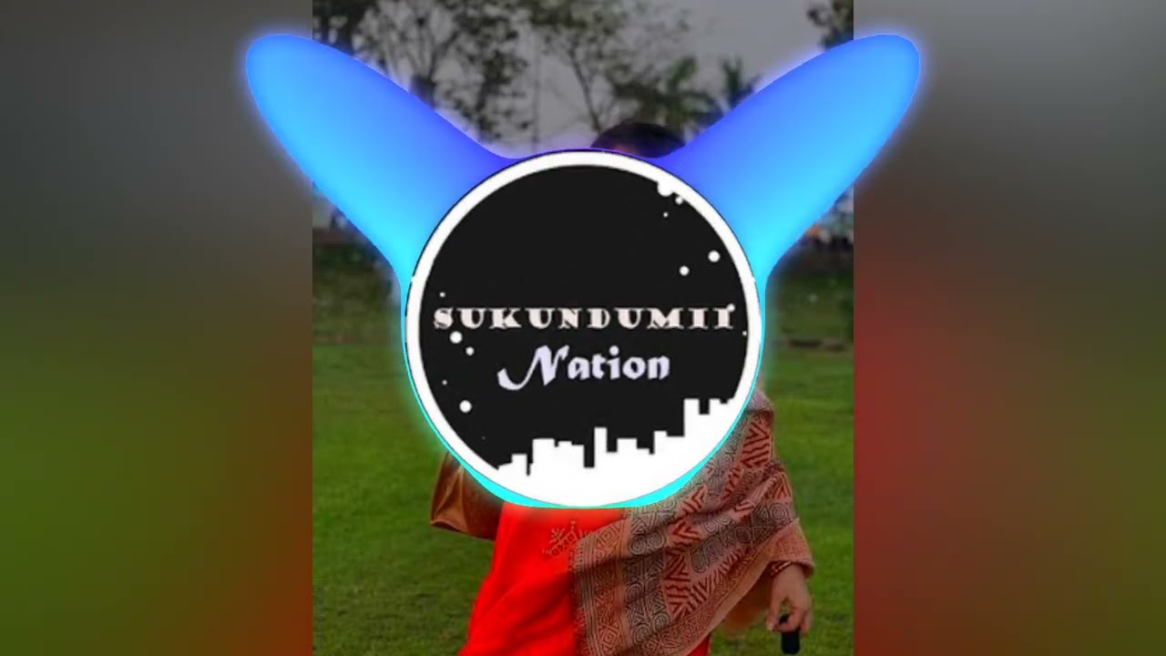Asylum Wellz Remix 2025🇻🇺