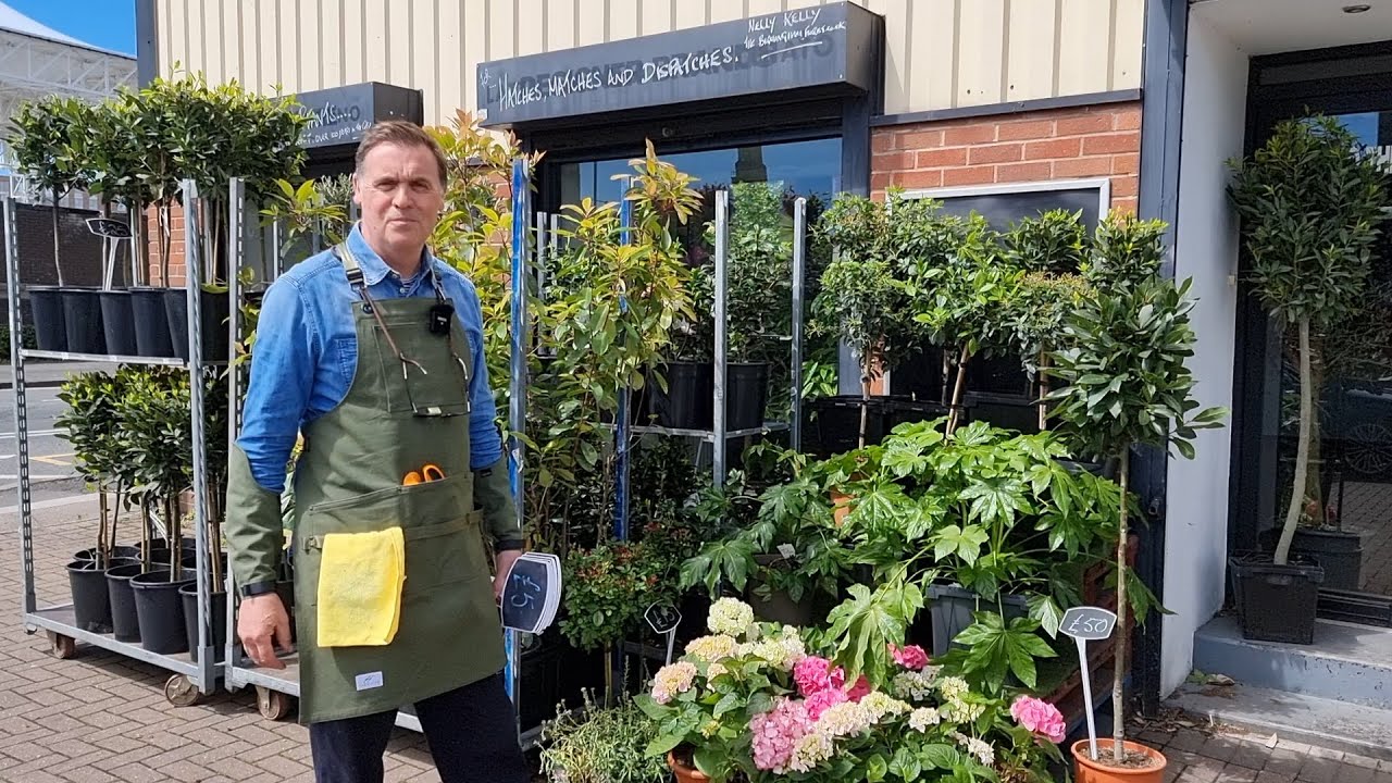 TADO VITO Aprons - Sutton Flowers Birmingham