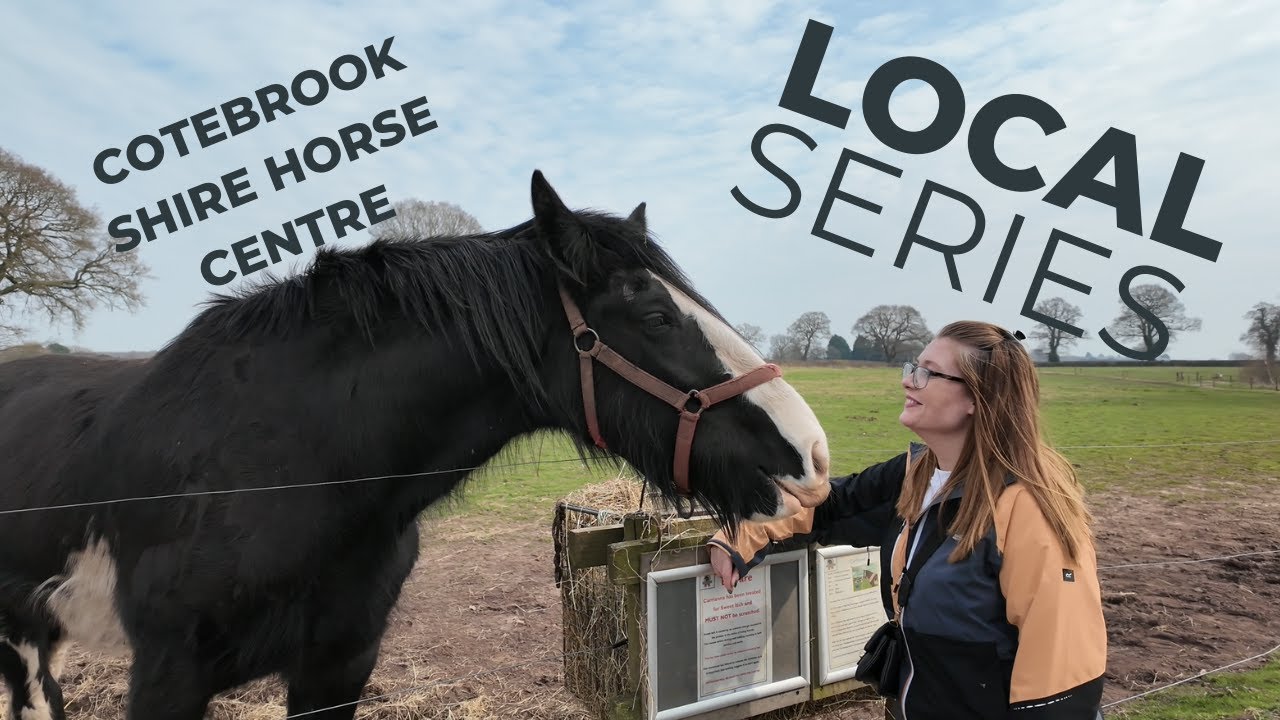Local Series - Cotebrook Shire Horse Centre