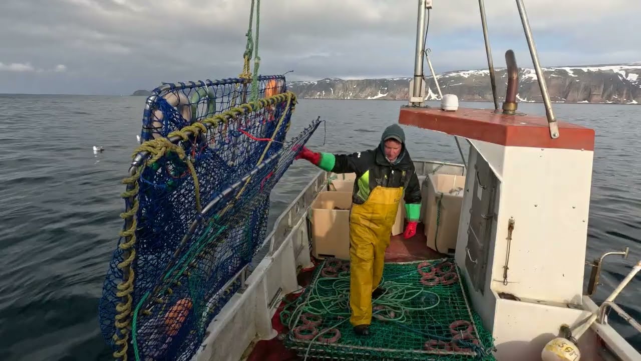 One Man - Two Strings! Hauling King Crab Pots in Northern Norway 2025!