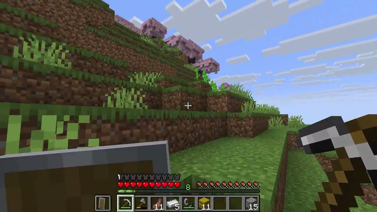 Minecraft  1 21 11