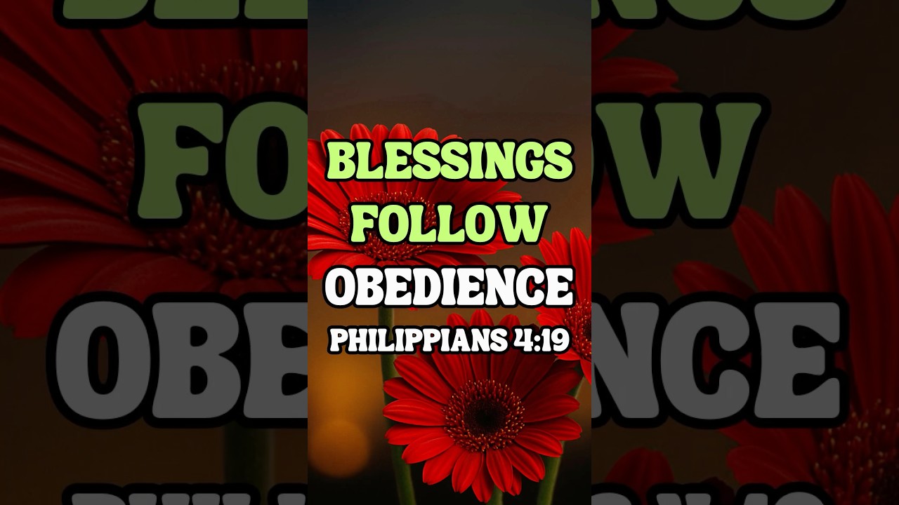 Obedience Unlocks God&rsquo;s Blessing | Trust and Follow His Plan (Philippians 4:19)