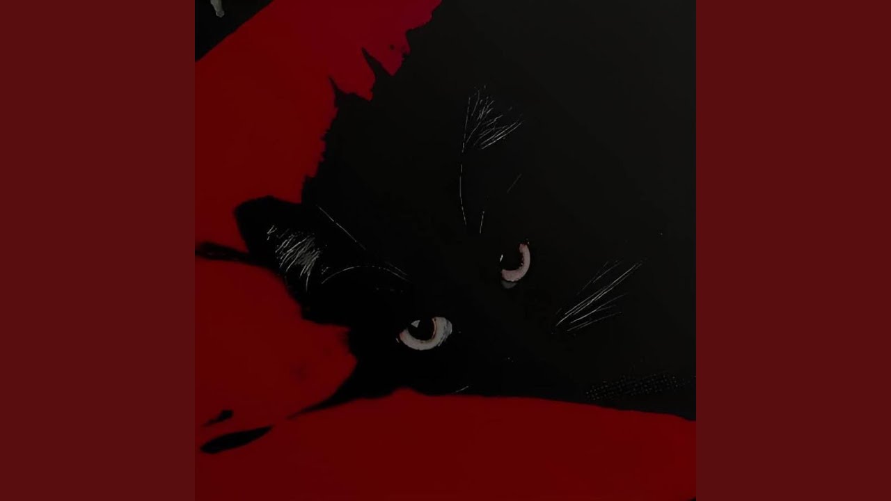 bleed