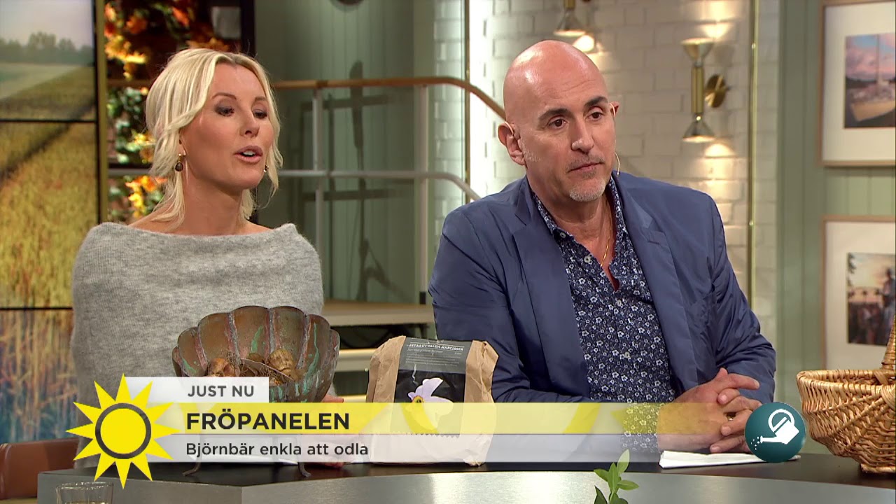 Micael Bindefeld: 