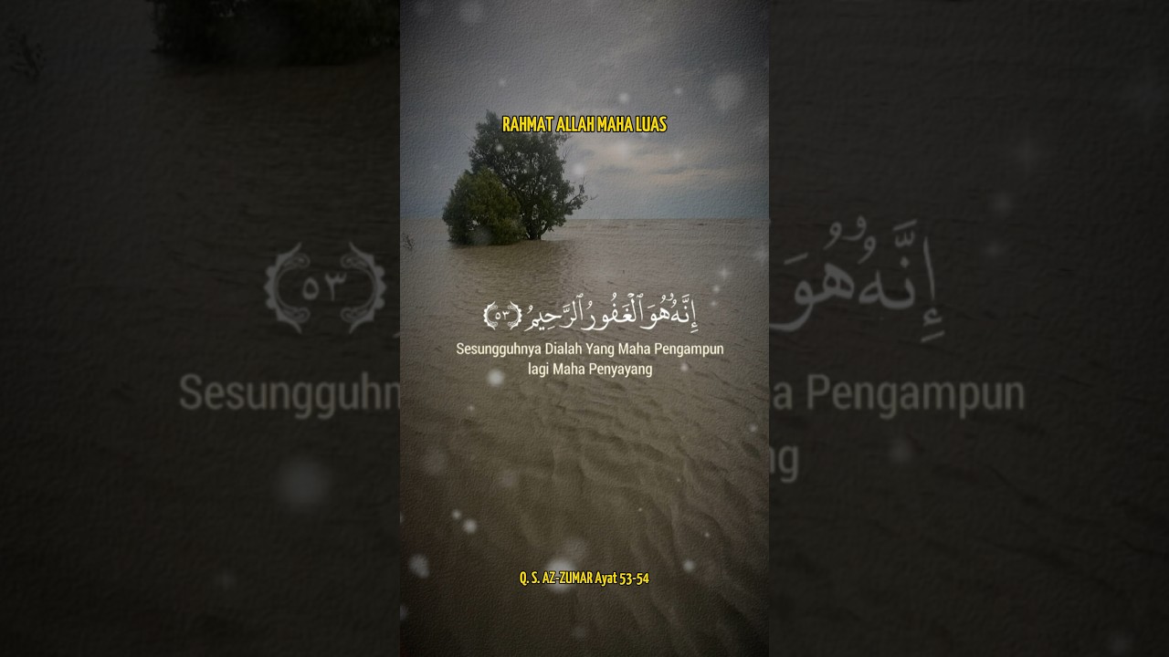 Ampunan Allah | #tadabburharian #semuabisa #alquran #ampunanallah #ampunan #ampunandosa #fypシ゚viral✨