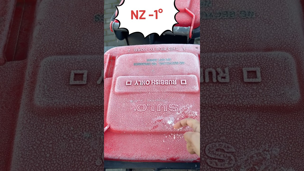 Mini vlog25:🇳🇿NZ winter Morning -1° 