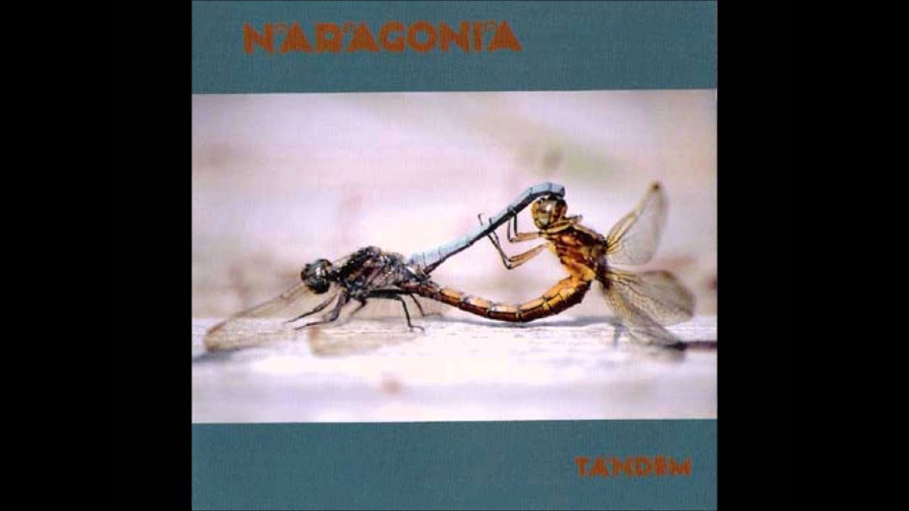 Naragonia - Alio (Mazurka)