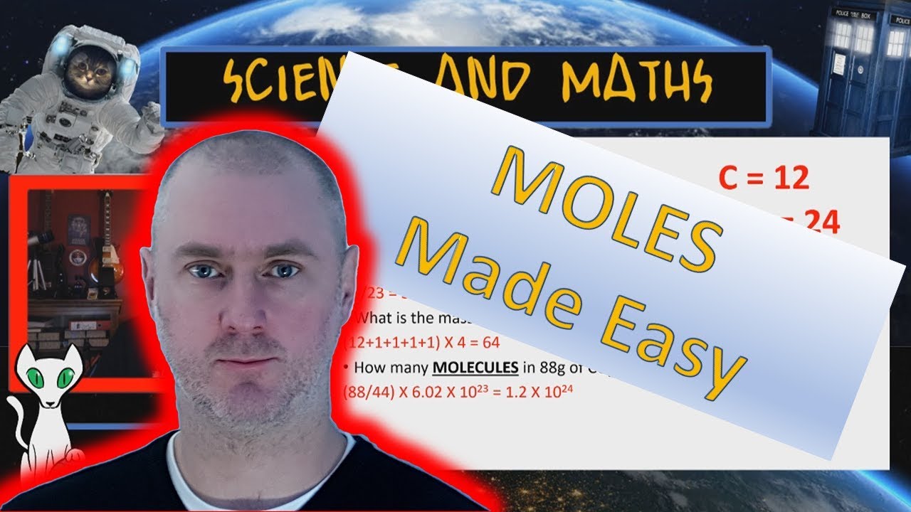 Moles questions made easy