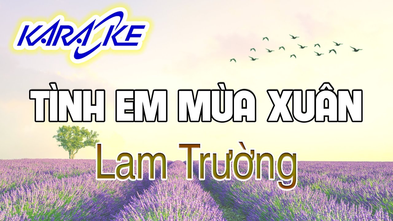 T&Igrave;NH EM M&Ugrave;A XU&Acirc;N KARAOKE || LAM TRƯỜNG || BEAT CHUẨN