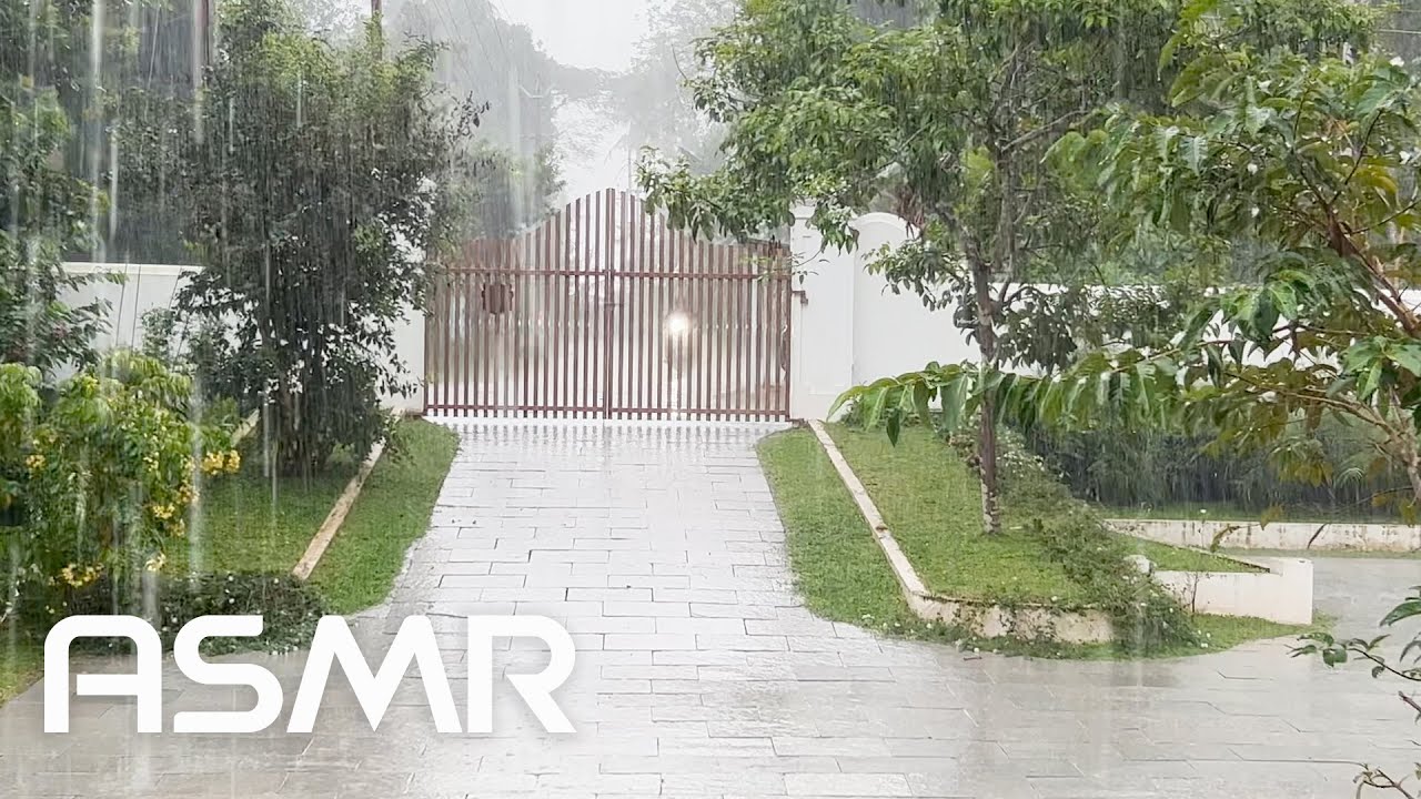 ASMR - Heavy Monsoon Rain from Kerala - God's own Country - Relaxing ASMR
