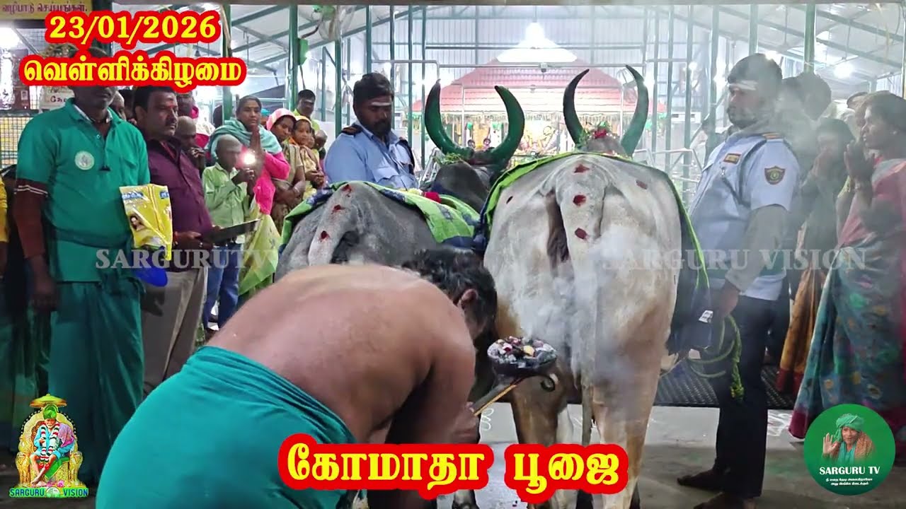 23-01-2026 வெள்ளிக்கிழமை கோமாதா பூஜை 