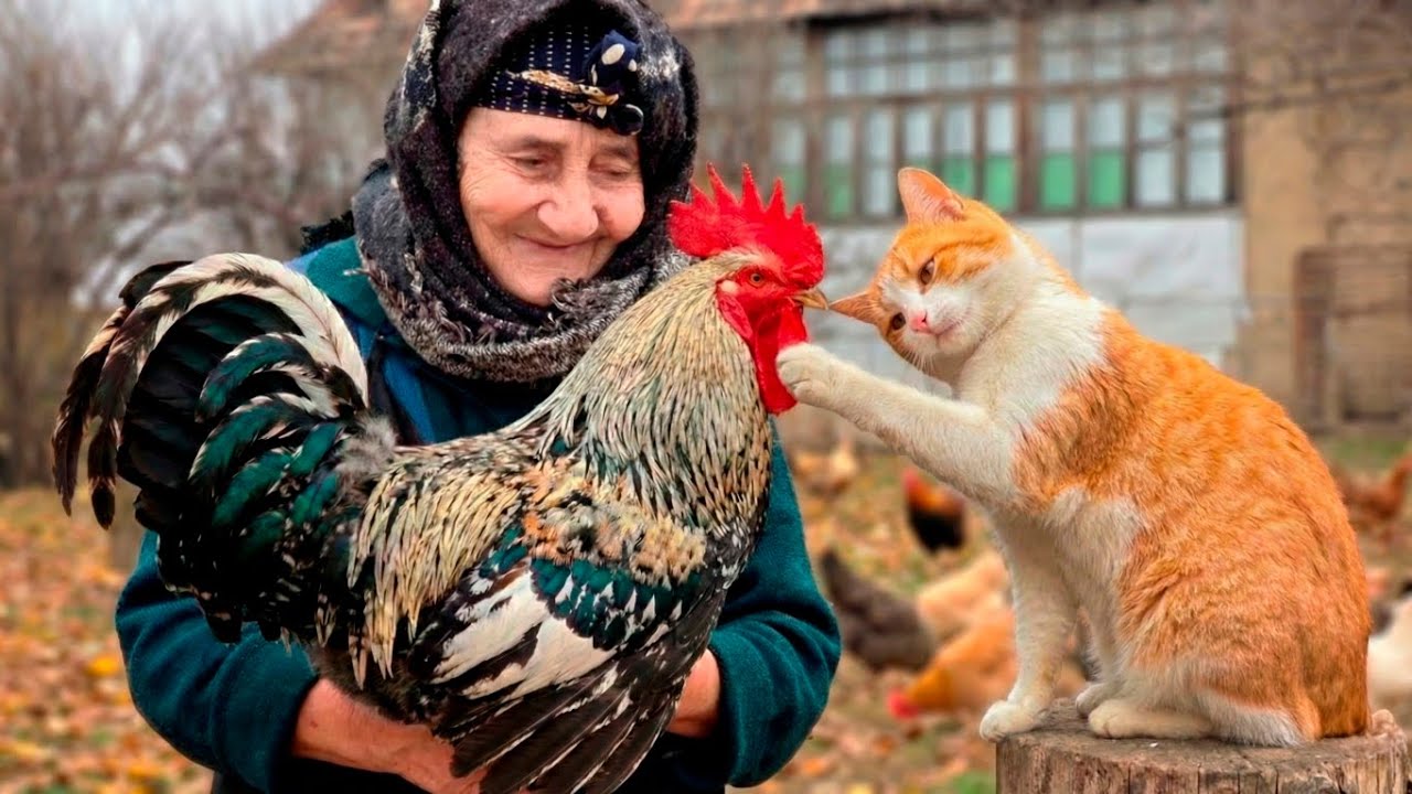 Cooking for the Whole Family Outdoors - Rural Traditions - Farm to Table