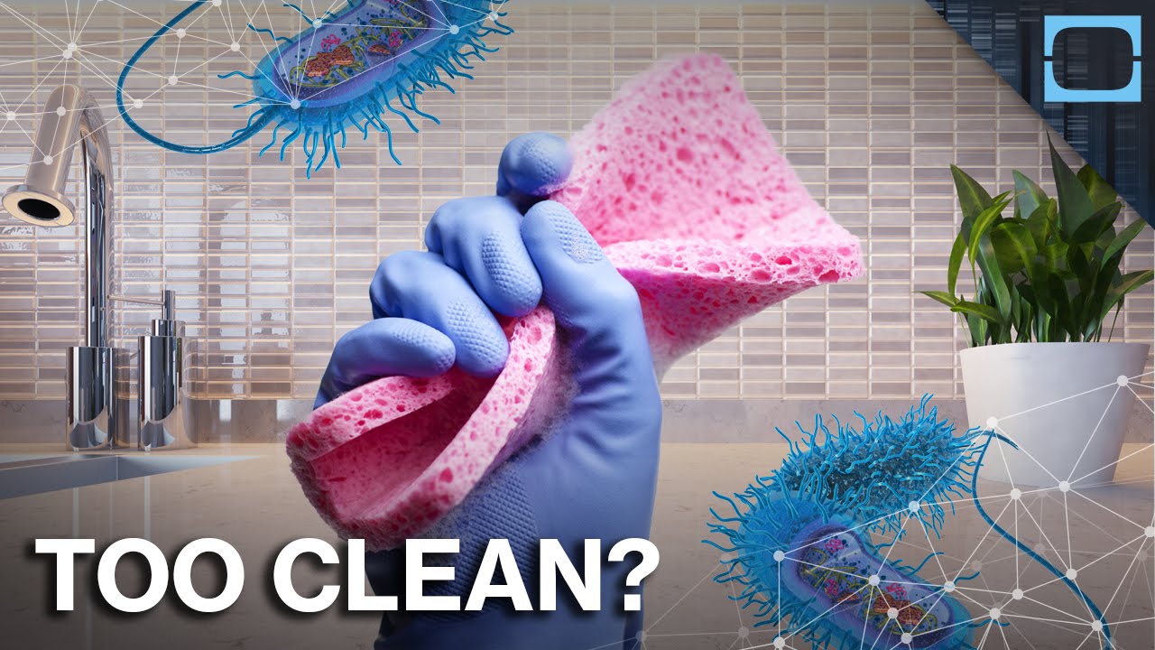 Is Being Too Clean Making Us Sick?