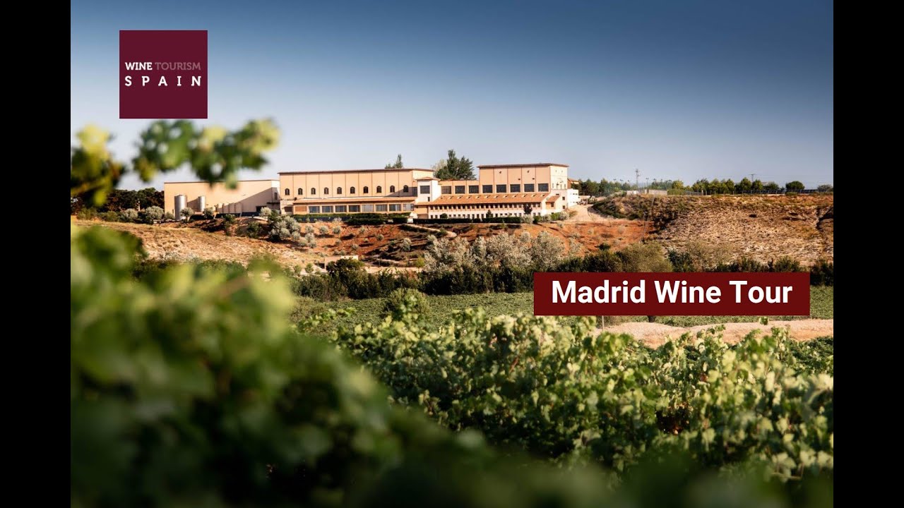Wine tour Spain:  Madrid Wine Country day tour (BEST) -  best wineries in Madrid #Madrid #wine #tour