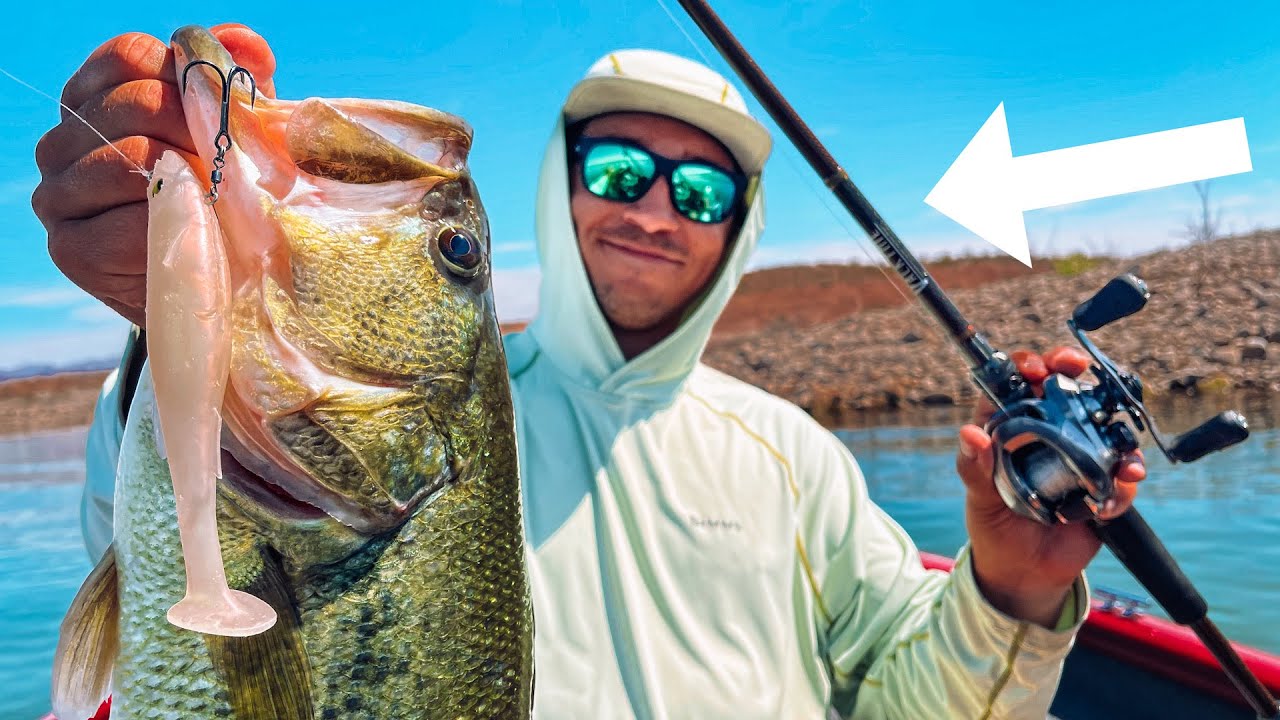 Every Angler Should Have This Swimbait Tied On!! The Megabass 6