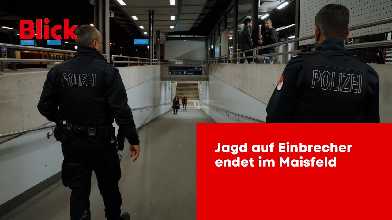 Polizei-Einsatz - Jagd auf Einbrecher endet im Maisfeld