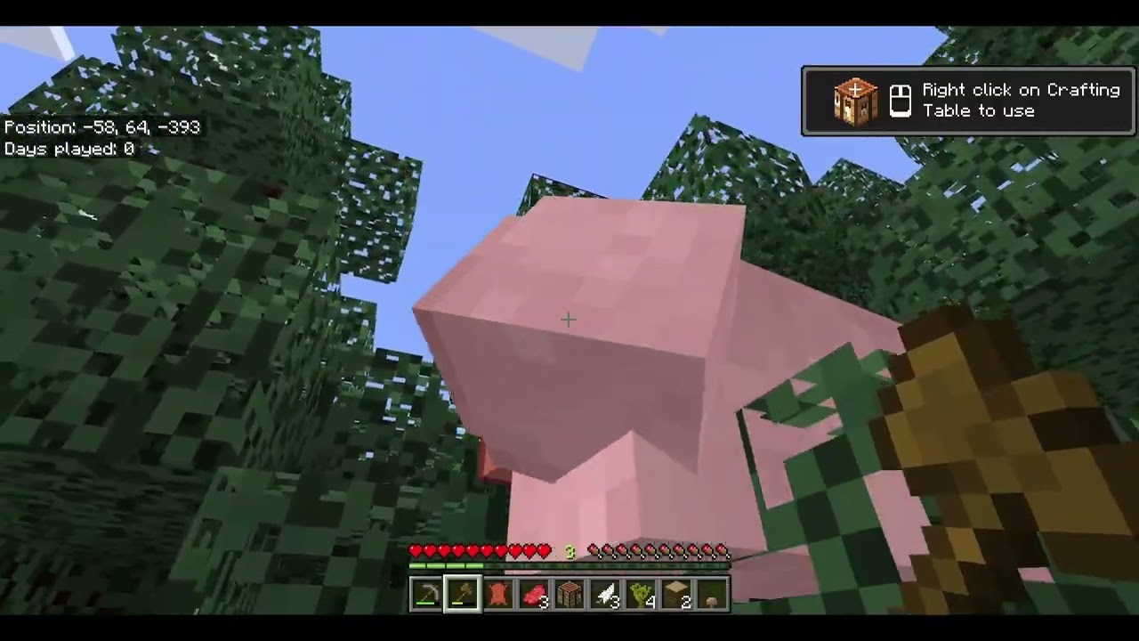 Noob Survival (Bedrock Edition) (1)