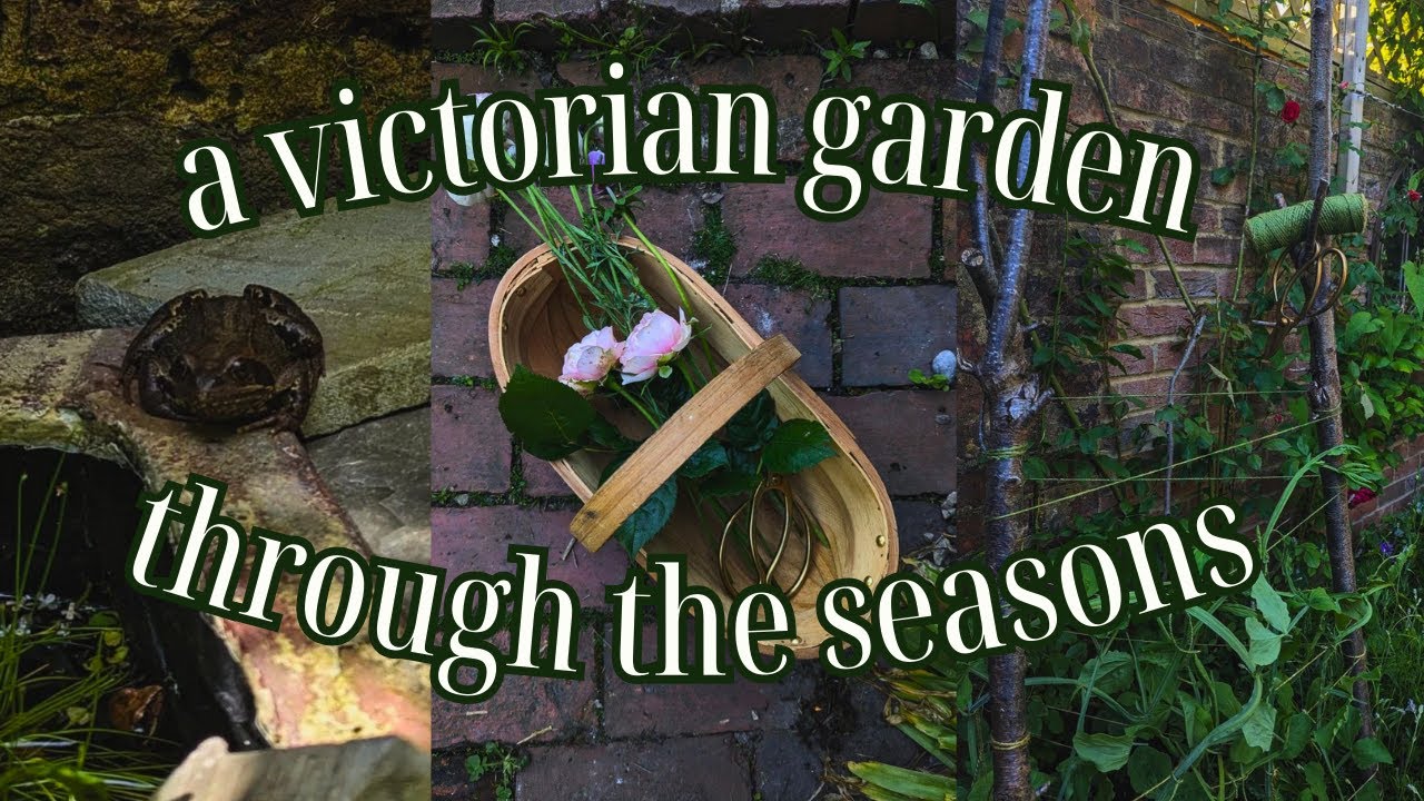 A year in a Victorian garden 🌱 a seasonal story