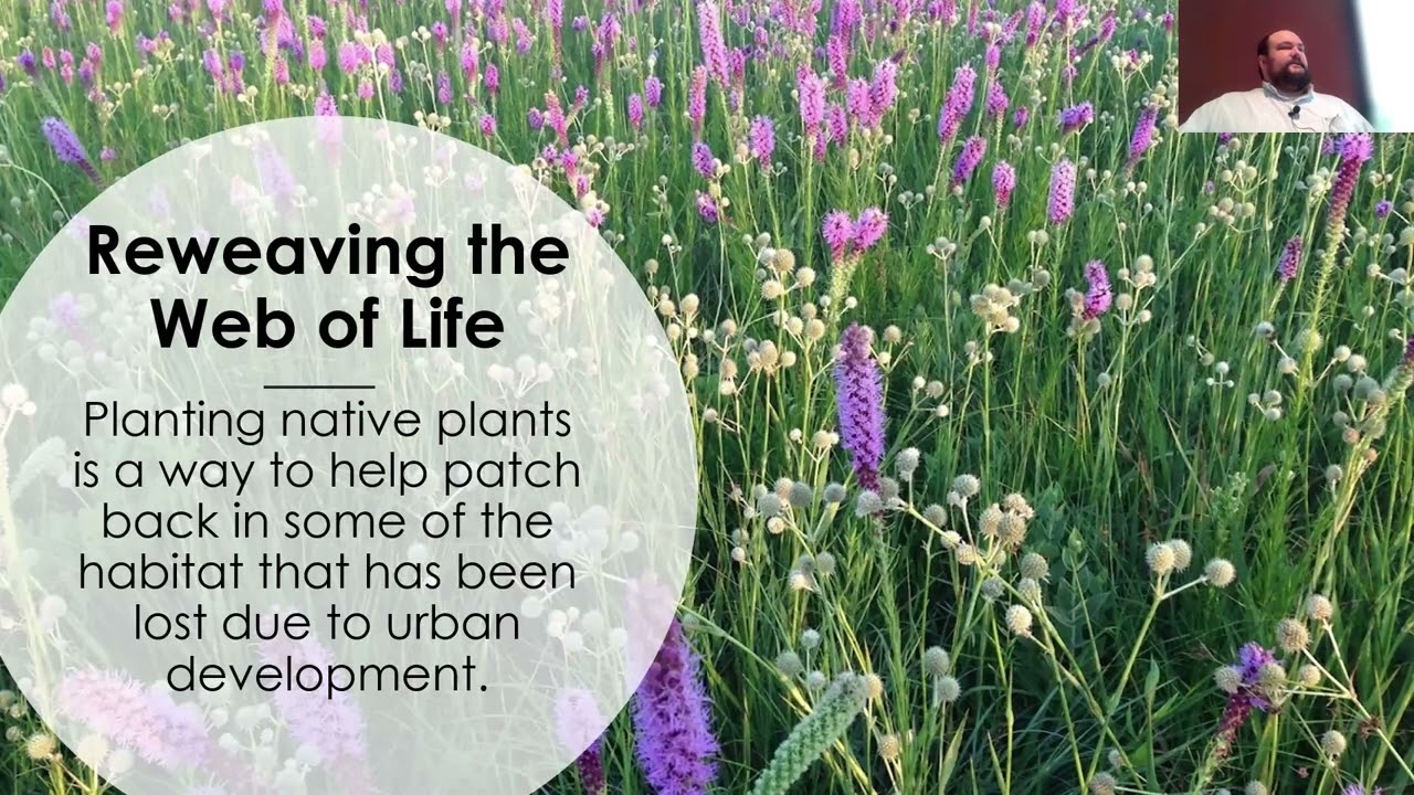 Native Plant Gardening 101