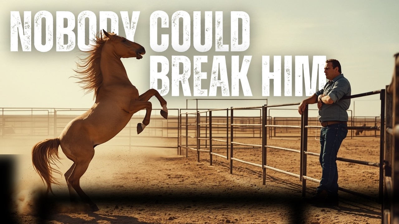 Nobody Could Tame the Wild Stallion… Then the Rancher Saw the Old Rope Burns and Realized Why