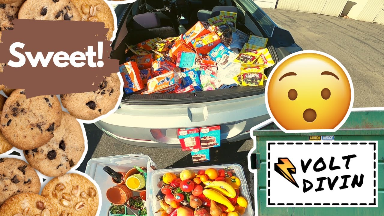 Dumpster Diving Super Sweet Score!!! - S2E17